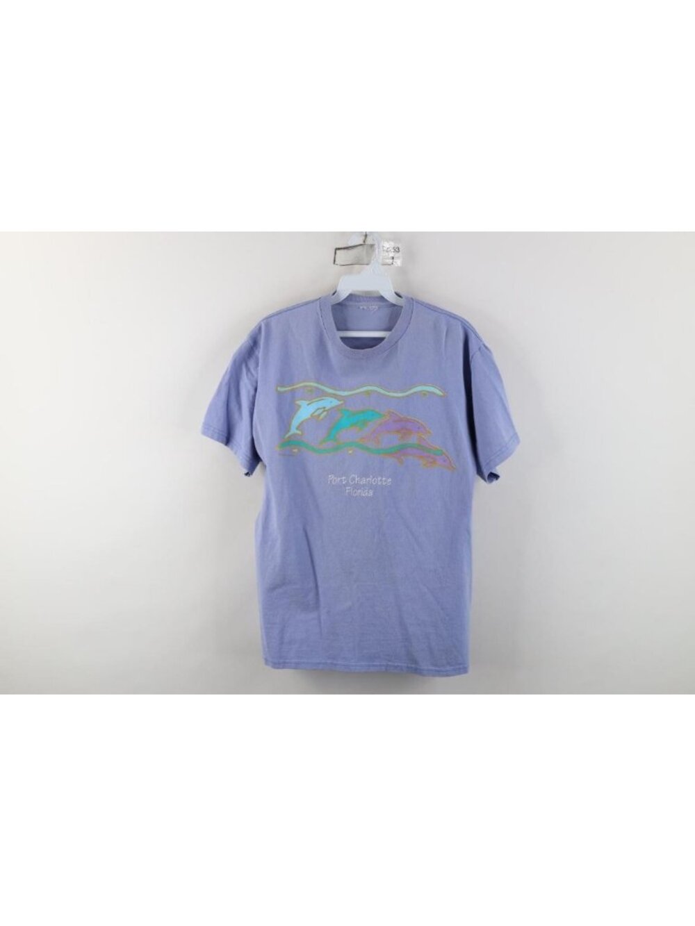 Vintage 90s Streetwear Womens Large Faded Port Charlotte Florida Dolphin T-Shirt